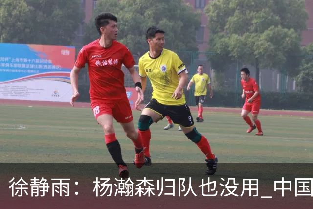 徐静雨：杨瀚森归队也没用 中国男篮跟日本已完全不是一个等级